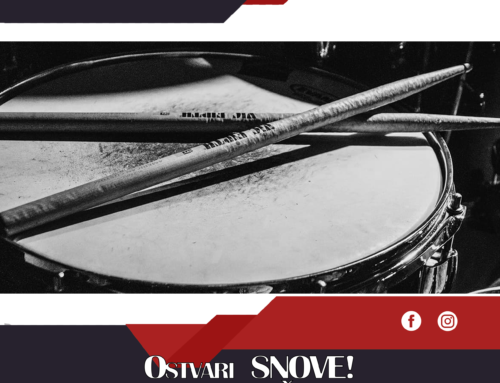 DRUM DUM SCHOOL U LESKOVCU